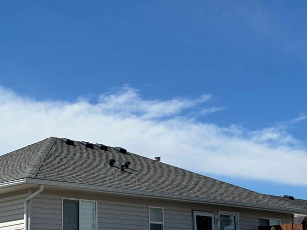 Best Skylight Installation and Repair  in Painesville, OH